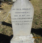 BRADLEY R.C.L. -1902