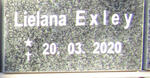 EXLEY Lielana 2020-2020