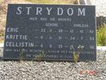 STRYDOM Eric 1939-1992 :: STRYDOM Krittie 1931-1993 :: STRYDOM Cellistin 1935-1996