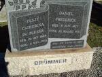 BRUMMER Daniel Frederick 1877-1933 & Elsje Catharina DU PLESSIS nee BENEKE 1884-1963