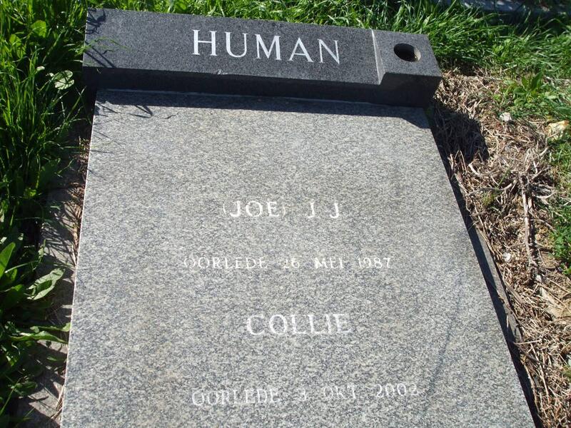 HUMAN J.J. -1987 & Collie -2002