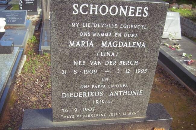 SCHOONEES Diederikus Anthonie 1907- & Maria Magdalena VAN DER BERGH 1909-1993