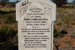 Northern Cape, HERBERT district, Wildebeest Hoek 163, farm cemetery