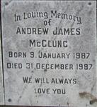 MCCLUNG Andrew James 1987-1987