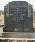 BEZUIDENHOUT Lourens Jacobus 1907-1966