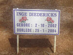 DIEDERICKS Inge 2002-2004