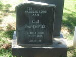 PAPENFUS C.J. 1909-1995