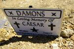 DAMONS Caesar 1943-2008