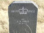 SNELL J.A.