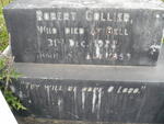 COLLIER Robert 1853-1922