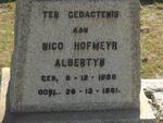 ALBERTYN Nico Hofmeyr 1886-1961