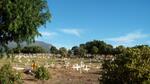 Western Cape, STELLENBOSCH, Webersvalley, Jamestown cemetery