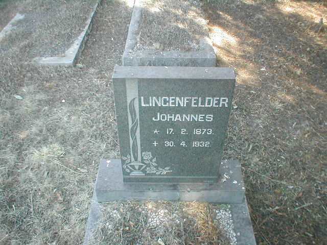 LINGENFELDER Johannes 1873-1932