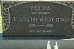 HATTINGH J.J.D. 1898-1966