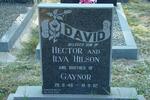 HILSON David 1946-1992