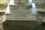 WILLIAMS Antonia Imelda -1916