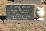 WARE Jacoba Lodewica 1929-1980