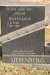 LIEBENBERG Johan Hauptfleisch 1912-1985