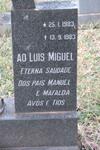 ? Ao Luis Miguel 1983-1983