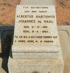 WAAL Albertus Marthinus Johannes, de 1881-1964