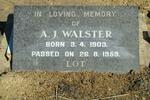 WALSTER A.J. 1903-1959