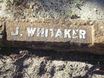 WHITAKER J.