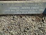 FORDE Andrew Joseph 1880-1952