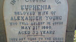 YOUNG Euphemia  -1880 
