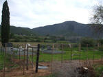 Western Cape, OUDTSHOORN district, Schoemanshoek, Roodewal 47, farm cemetery_6