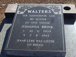WALTERS Johanna Brink 1909-1983