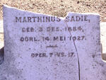 SADIE Marthinus  1884-1927
