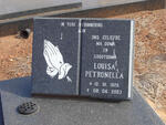 WALT Louisa Petronella, van der 1926-2003