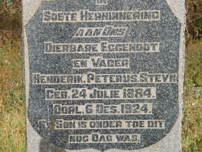 STEYN Henderik Peterus 1884-1924