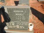 MAREE Adriaan J. 1911-1945