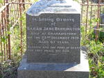 BERRINGTON Sarah Jane -1919 