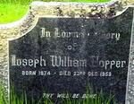 HOPPER Joseph William 1874-1959