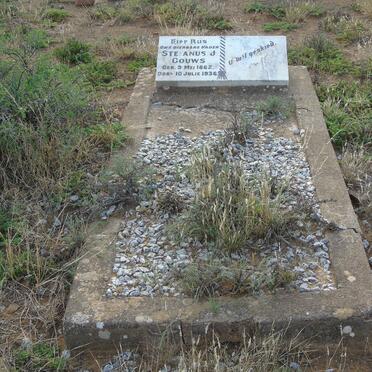 2. Overview / Oorsig