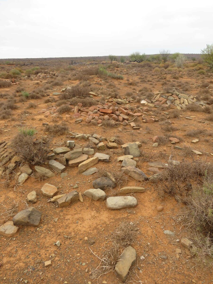 1. Overview / Oorsig