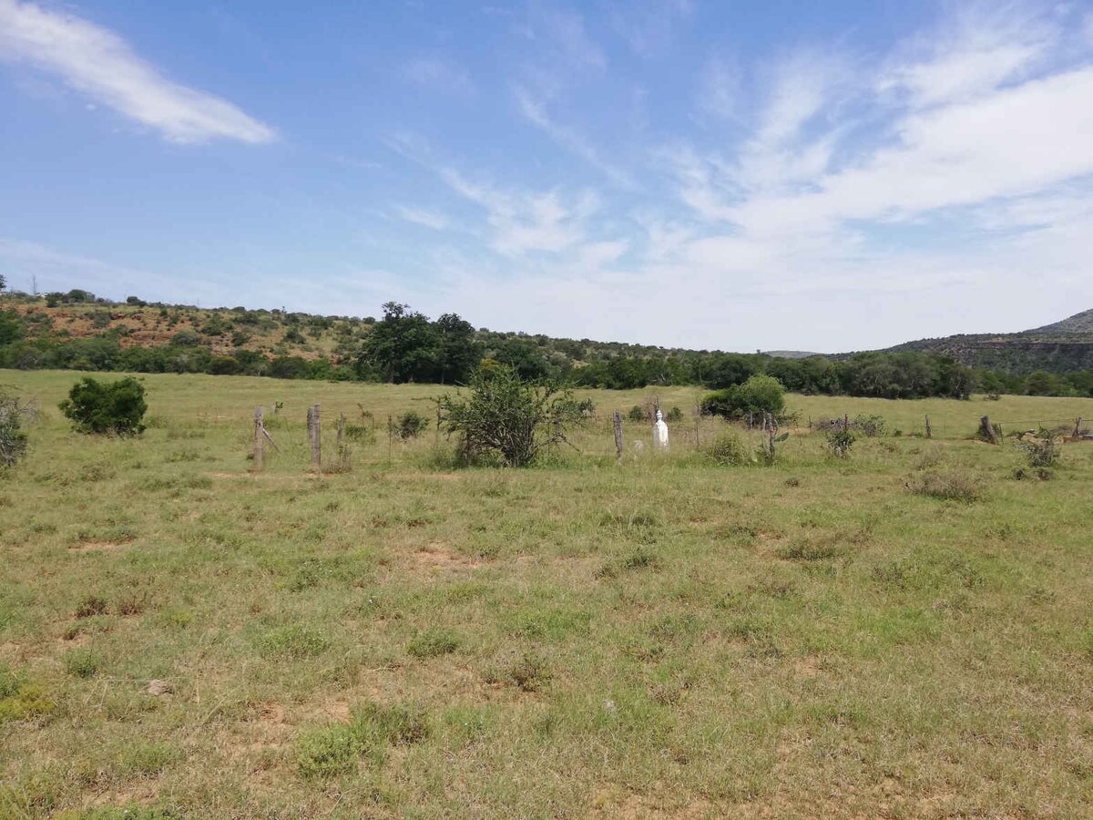 1. Oorsig / Overview