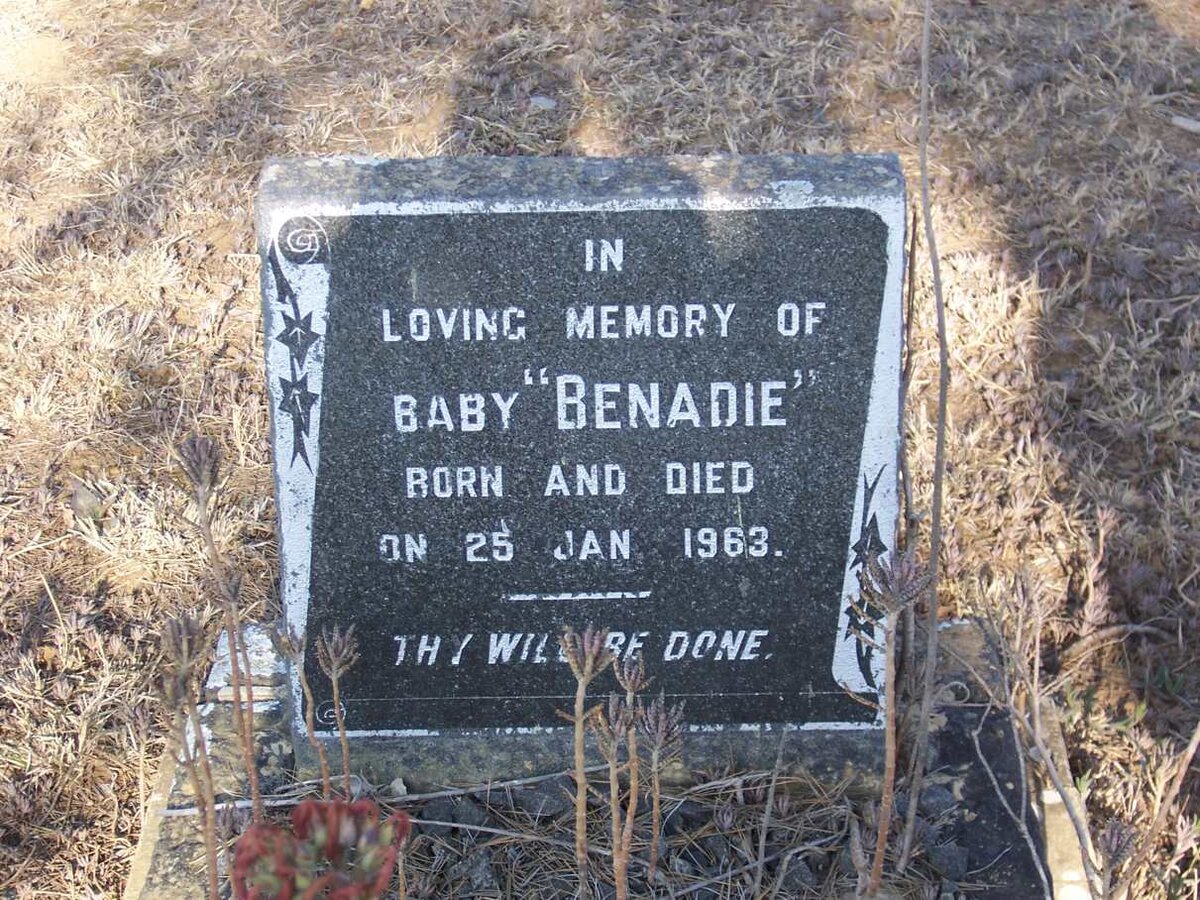 BENADIE Baby 1963-1963