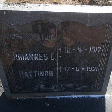 HATTINGH Johannes C. 1917-1921
