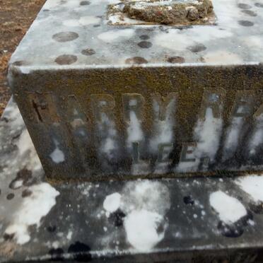 LEE Alice Robertson -1897 :: LEE Harry Reay -1874