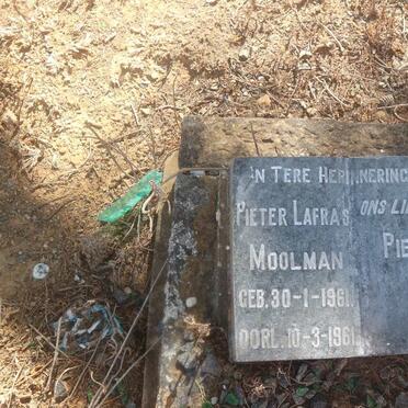 MOOLMAN Pieter Lafras 1961-1961