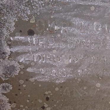 MENTOOR Cornelia -1917