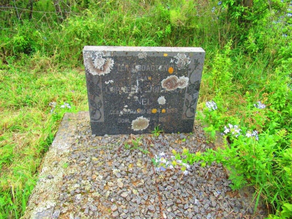 NEL Cornelia Johanna nee NIEMAND 1886-196?