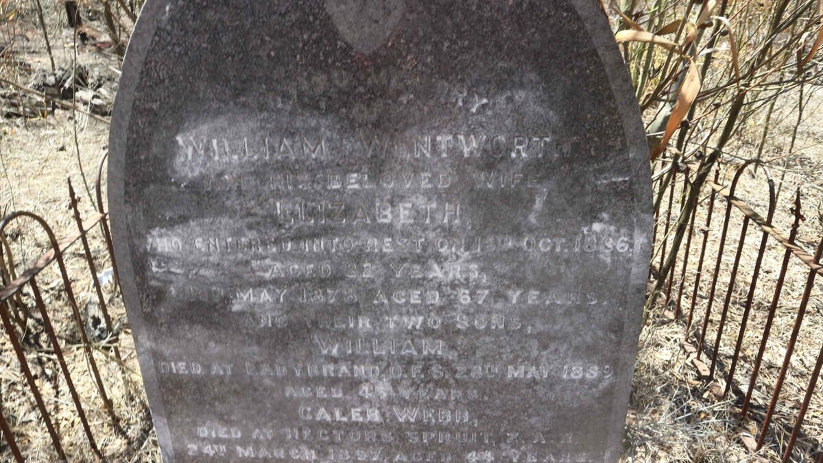 WENTWORTH William -1886 &amp; Elizabeth -1878 :: WENTWORTH William -1889 :: WENTWORTH Caleb Webb -1897