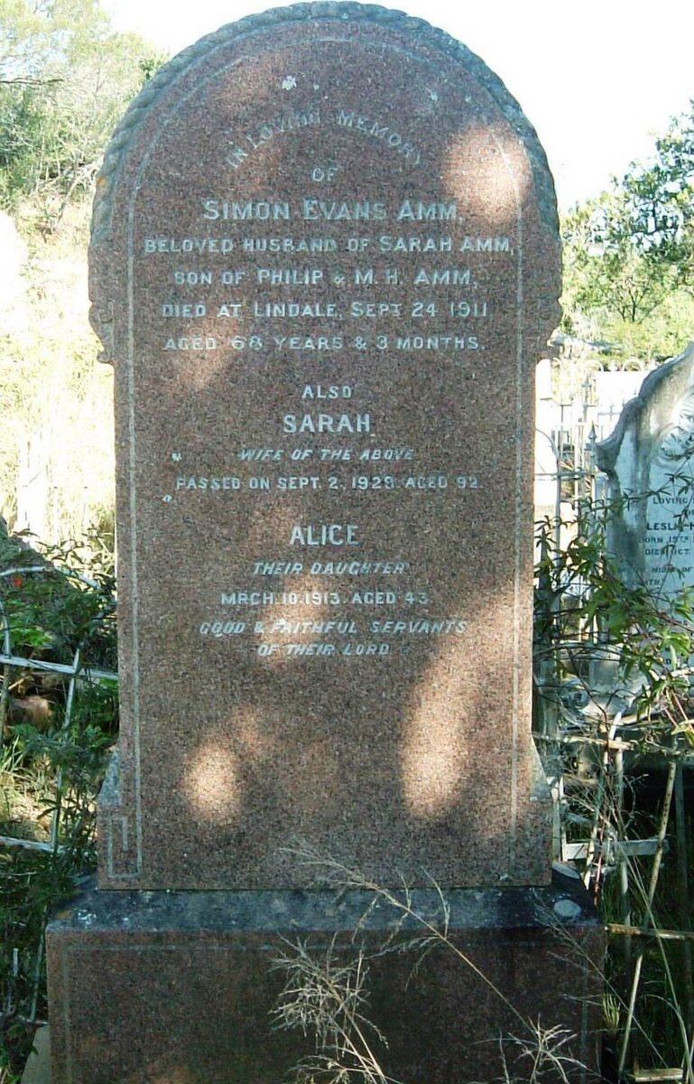 AMM Simon Evans -1911 &amp; Sarah -1929 :: AMM Alice -1913