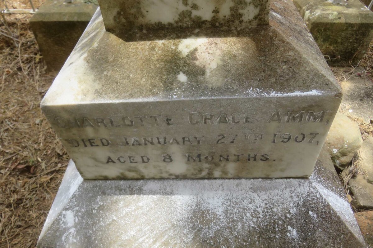 AMM Charlotte Grace -1907