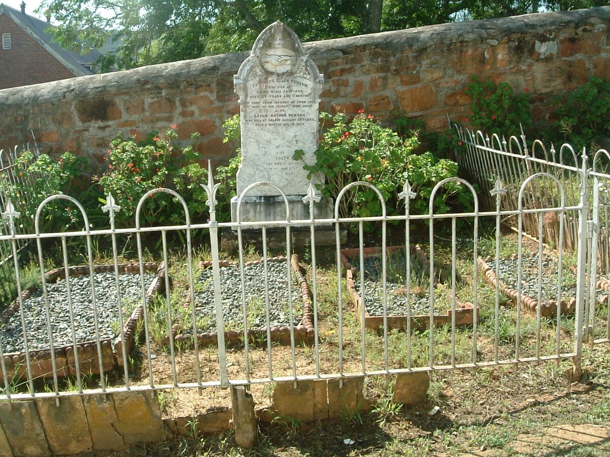 1. HEWSON family plot