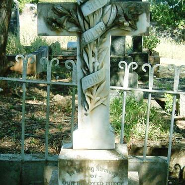 ? KINGW?? Constance -1907